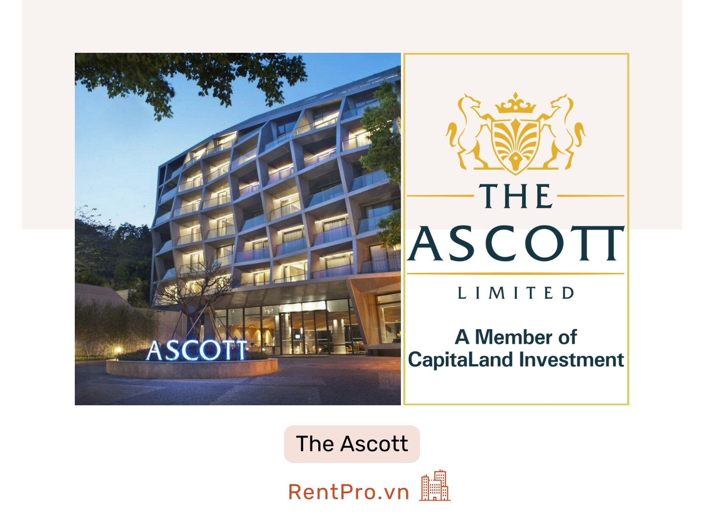 The-Ascott